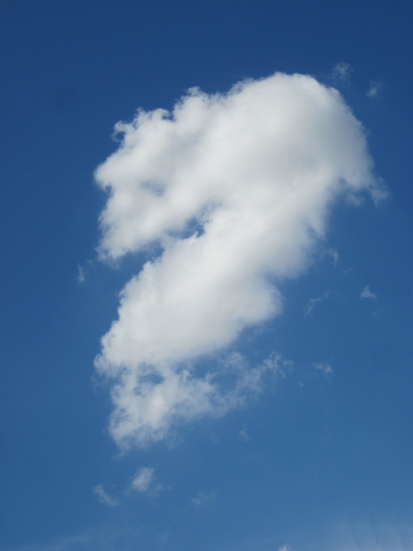 blue-424156_1920