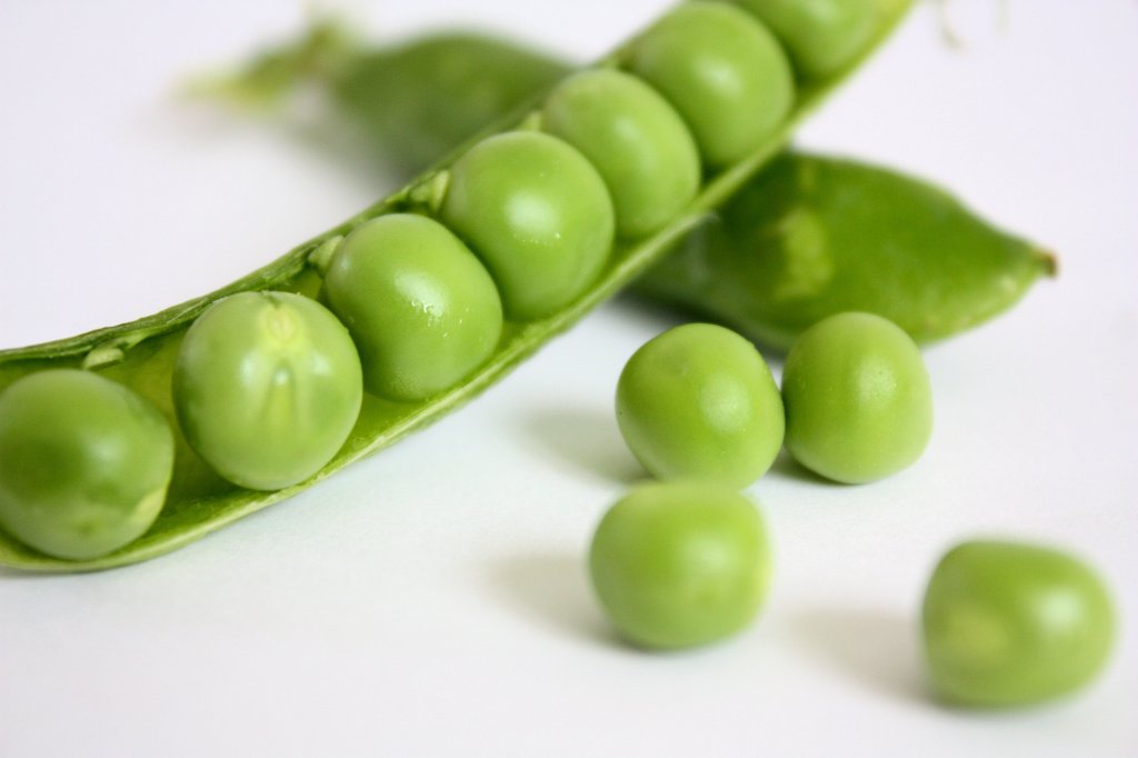 Healthy Sperm – it takes two